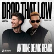 Tujamo & Kid Ink - Drop That Low (When I Dip) (Antoine Delvig Remix)
