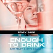 Sam Feldt & Cate Downey - Enough To Drink (Remix Pack)