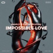 Awakcn & Nathan Brumley - Impossible Love