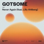 GotSome feat. Lilly Ahlberg - Never Again (Extended Mix)