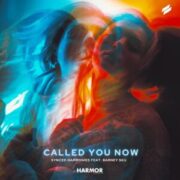 Synced Harmonies - Called You Now (feat. Barney Sku)