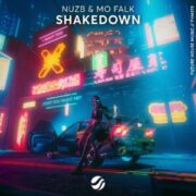 NUZB & Mo Falk - Shakedown (Extended Mix)
