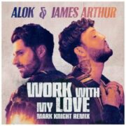 Alok & James Arthur - Work With My Love (Mark Knight Remix)