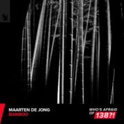 Maarten de Jong - Bamboo (Extended Mix)