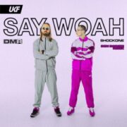 SHOCKONE - Say Woah (DON DARKOE Remix)