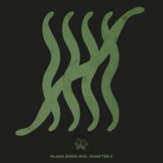 Black Book Records pres. Black Book ID's: Chapter 5 EP