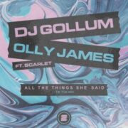 DJ Gollum & Olly James feat. Scarlet - All the Things She Said (TikTok Extended Mix)