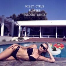 Miley Cyrus - Flowers (Borgore Remix)