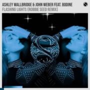 Ashley Wallbridge & John Weber feat. Bodine - Flashing Lights (Robbie Seed Extended Remix)