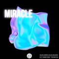 Calvin Harris & Ellie Goulding - Miracle (Olly James Euro-Techno Mix)