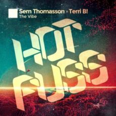 Sem Thomasson & Terri B! - The Vibe (Extended Mix)