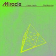 Calvin Harris & Ellie Goulding - Miracle (Original Mix)