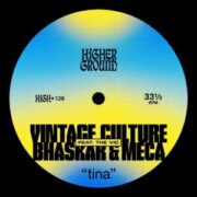 Vintage Culture, Bhaskar & Meca feat. The Vic - Tina (Extended Mix)