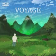 PLEEG - Voyage