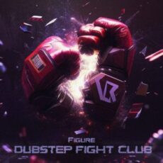 Figure - Dubstep Fight Club