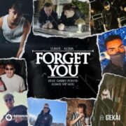 LUM!X & Alida feat. Gabry Ponte - Forget You (LUM!X VIP MIX)