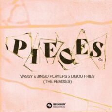 VASSY x Bingo Players x Disco Fries - Pieces (Random Soul Extended Remix)