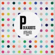 Afrojack - Polkadots (Sven Fields & Chasner Remix)