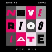 Kokiri & Moya - Never Too Late (VIP Mix)