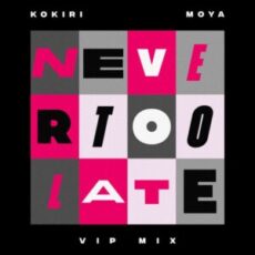 Kokiri & Moya - Never Too Late (VIP Mix)
