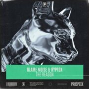 BlameNoise & Ryptox - The Reason