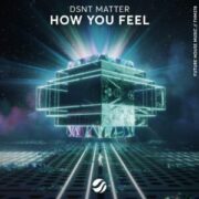 Dsnt Matter - How You Feel (Extended Mix)