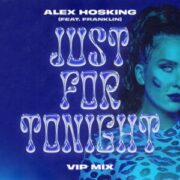 Alex Hosking feat. Franklin - Just For Tonight (VIP Mix)