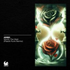 Aribo - Worth the Wait (Plastik Funk Remix)