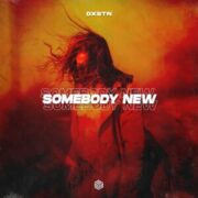 DXSTN - Somebody New (Extended Mix)