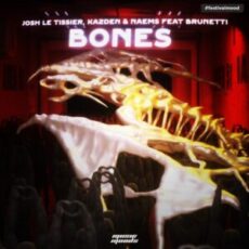Josh Le Tissier & Kazden & Naems feat. Brunetti - Bones (Extended Mix)