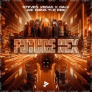 Steven Vegas x CALV - We Bring The Fire (Extended Mix)