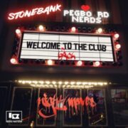 Pegboard Nerds & Stonebank - Welcome To The Club (NIGHT / MOVES Remix)