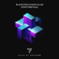 BlackCode & David Allen - Something Real