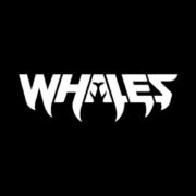 Skrillex - First Of The Year (Equinox) (Whales Remix)