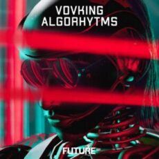Vovking - Algorhytms (Extended Mix)