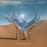 CamelPhat x Josh Gigante - Your Mind