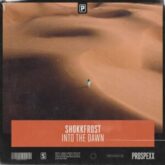 Shokkfrost ft. Emily Fox - Into The Dawn