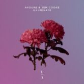 Avoure & Jem Cooke - Illuminate