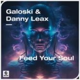 Galoski & Danny Leax - Feed Your Soul