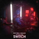 Riot Ten & Whales - Switch (feat. Nat James)