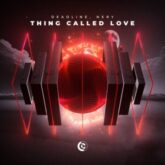 DEADLINE, Nery - Thing Called Love (Extended MIx)