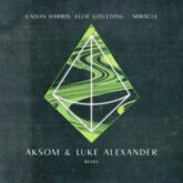 Calvin Harris & Ellie Goulding - Miracle (AKSOM & Luke Alexander Remix)
