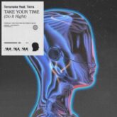 Tensnake feat. Teira - Take Your Time (Do It Right)
