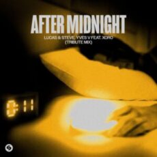 Lucas & Steve, Yves V feat. Xoro - After Midnight (Tribute Mix)