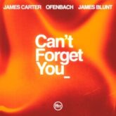 James Carter & Ofenbach - Can’t Forget You (feat. James Blunt)