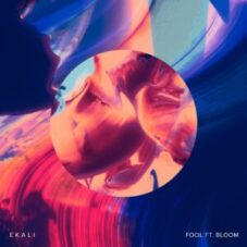 Ekali - Fool (feat. Bloom)