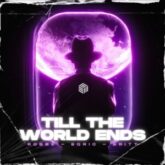 Robbe, EQRIC & Britt - Till The World Ends (Extended Mix)