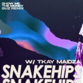 Snakehips feat. Tkay Maidza - Show Me The Money (Guz Remix)