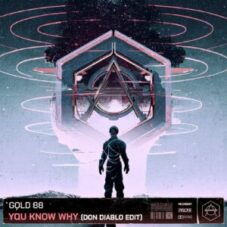 Gold 88 - You Know Why (Don Diablo Extended Edit)