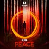 NGMA - Peace